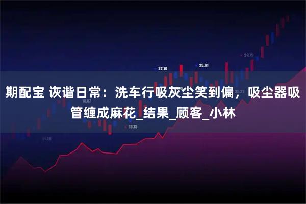 期配宝 诙谐日常：洗车行吸灰尘笑到偏，吸尘器吸管缠成麻花_结果_顾客_小林