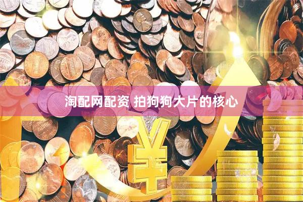 淘配网配资 拍狗狗大片的核心