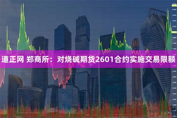 道正网 郑商所：对烧碱期货2601合约实施交易限额