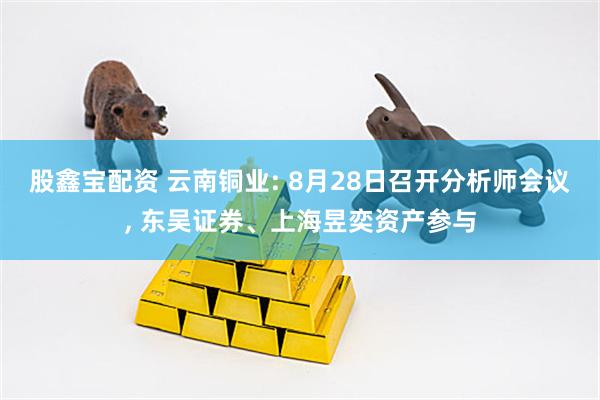 股鑫宝配资 云南铜业: 8月28日召开分析师会议, 东吴证券、上海昱奕资产参与