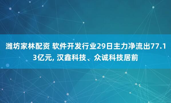 潍坊家林配资 软件开发行业29日主力净流出77.13亿元, 汉鑫科技、众诚科技居前