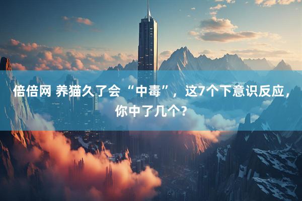 倍倍网 养猫久了会 “中毒”，这7个下意识反应，你中了几个？