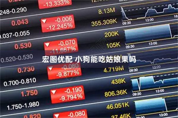 宏图优配 小狗能吃姑娘果吗