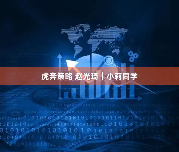 虎奔策略 赵光琦｜小莉同学